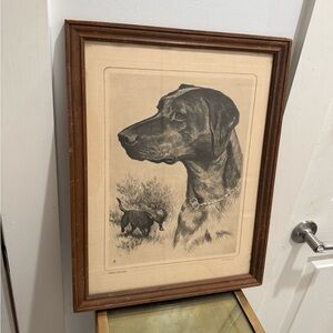 Etching Black Labrador Dog by H. Palenski